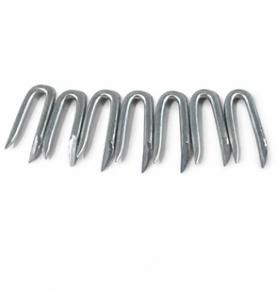 Hot-Dip Galvanized Wire U Staples for Fencing