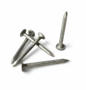 Hot-Dip Galvanised Clout Nails for Australian Market