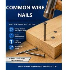 Common Wire Nails | Bulk Construction Nails